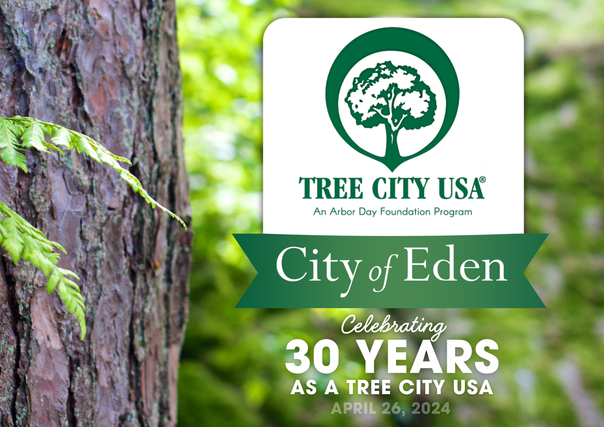 Tree City USA 30 Years