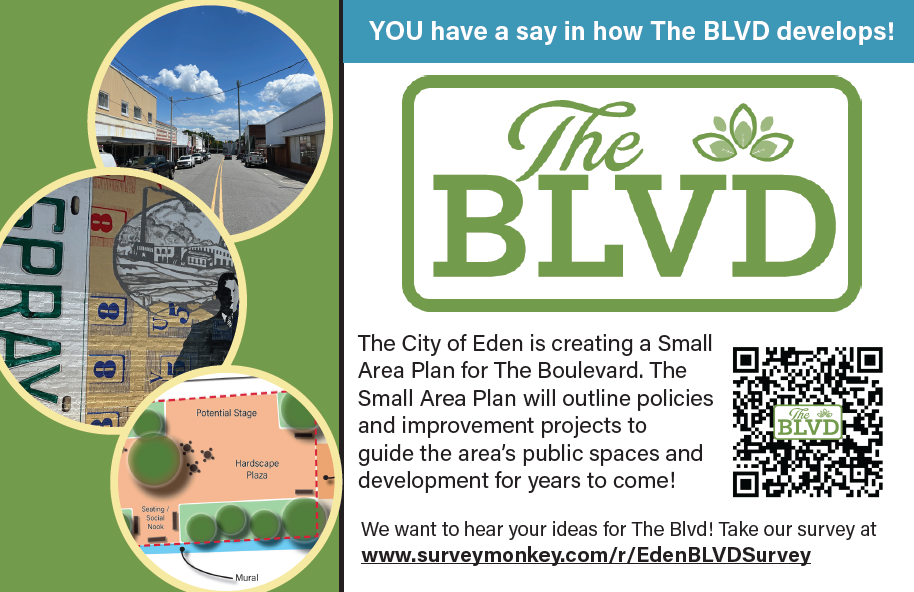 BLVD Small Area Plan